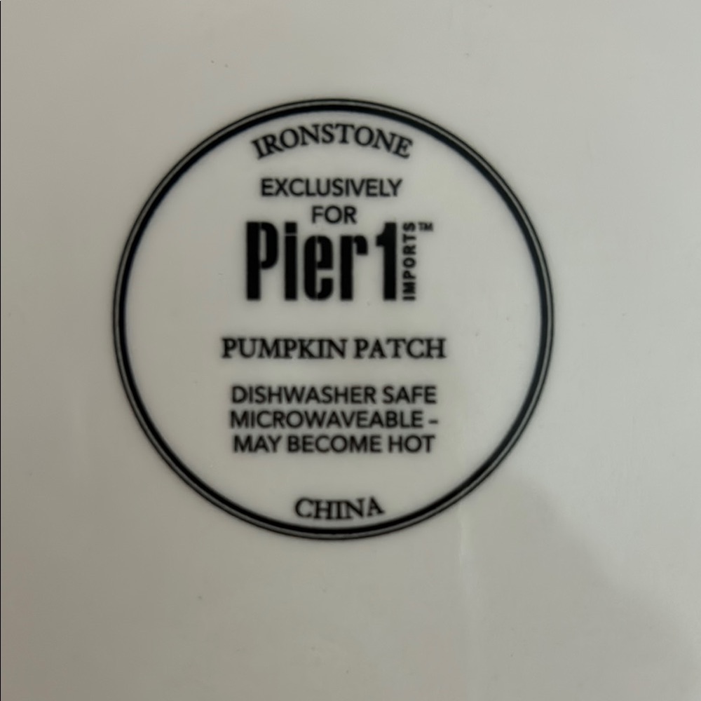 PIER 1  PUMPKIN PATCH SQUASH PLATE - Picture 8 of 11